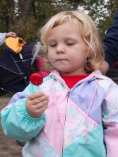 Lollipop