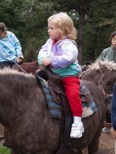 Pony Ride