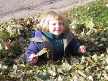 November 17: Leaf Pile